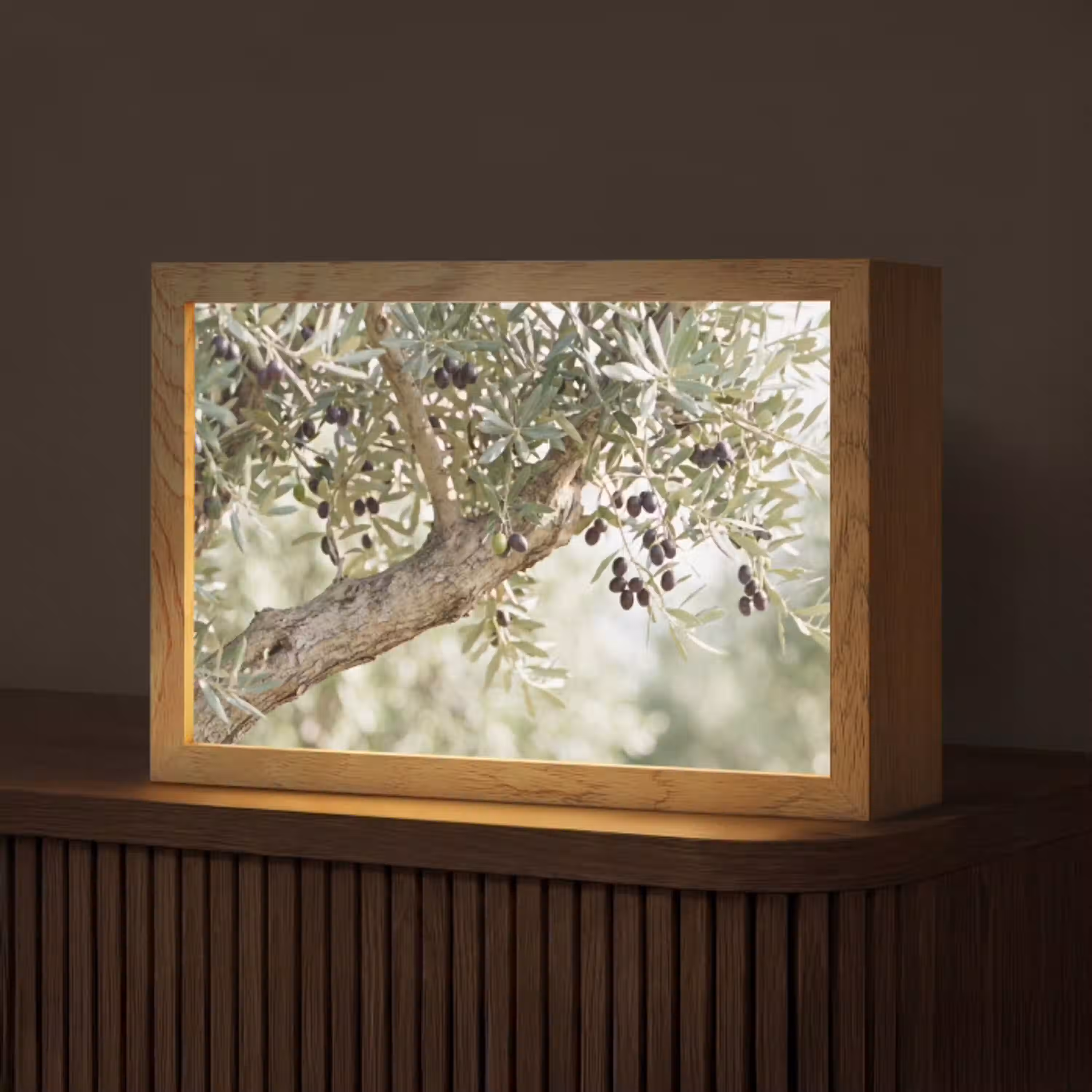 Olijfboom - tak - groen Light Box met kabel (Tafellamp) klein -z3d_website