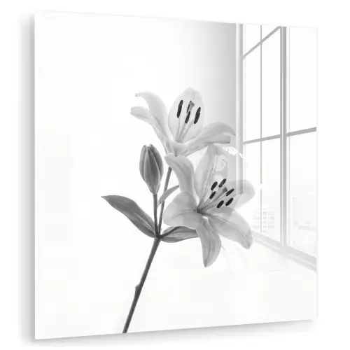 Lelies - Elegant - Zwart - Wit plexiglas 5mm klein -zzzproduct_nieuw