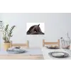 Portret - Paard - Elegant Muursticker klein -eettafel