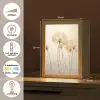 Zonlicht - Paardenbloem - Botanisch - Bloemen Light Box met kabel (Tafellamp) klein -USP_NL