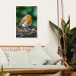 Roodborstje op een Boomstam tuinposter los doek klein -sfeer7