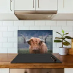 Schotse Hooglander - Koeienkop - Landschap - Natuur - Koe keuken achterwand spatscherm klein -sfeer2