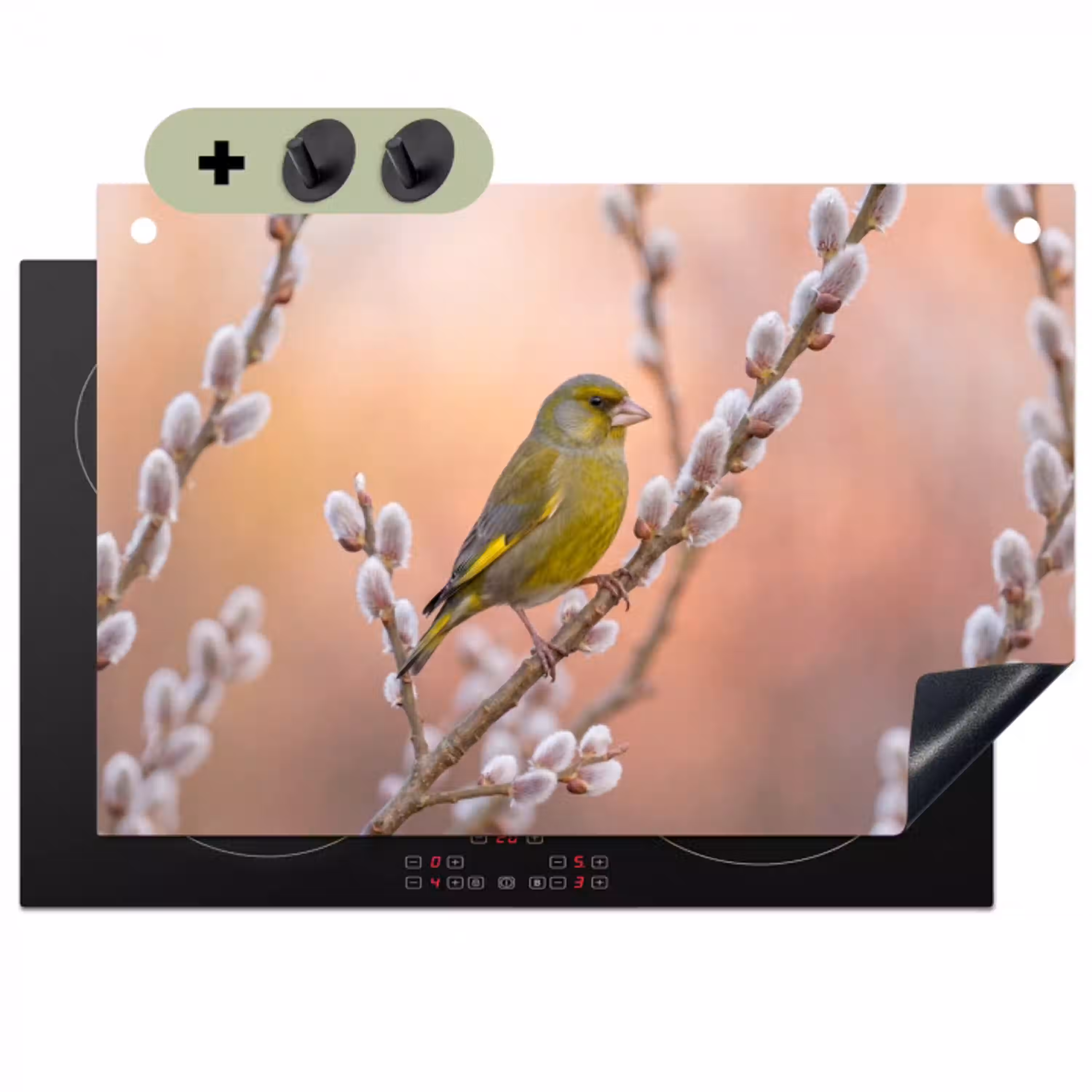 Groenling - Katjes - Lente - Natuur - Zacht Inductie beschemer met haakjes klein -3d