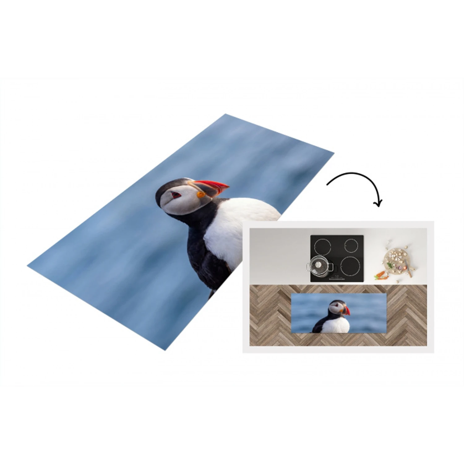 Papegaaiduiker - Portret - Natuur Keukenloper - keukenmat middel -3d