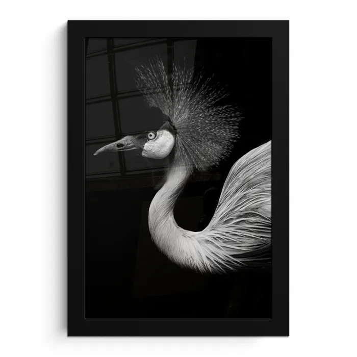 Kraanvogel - Zwart - Wit - Vogel - Dieren fotolijst zwart zonder passe partout klein -3d