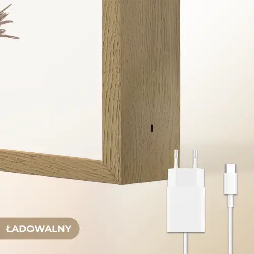 Wasbeer - Dier - Bosdieren Light Box met batterij (Wandlamp kind) middel -USP_websiteoplaadbaarNL