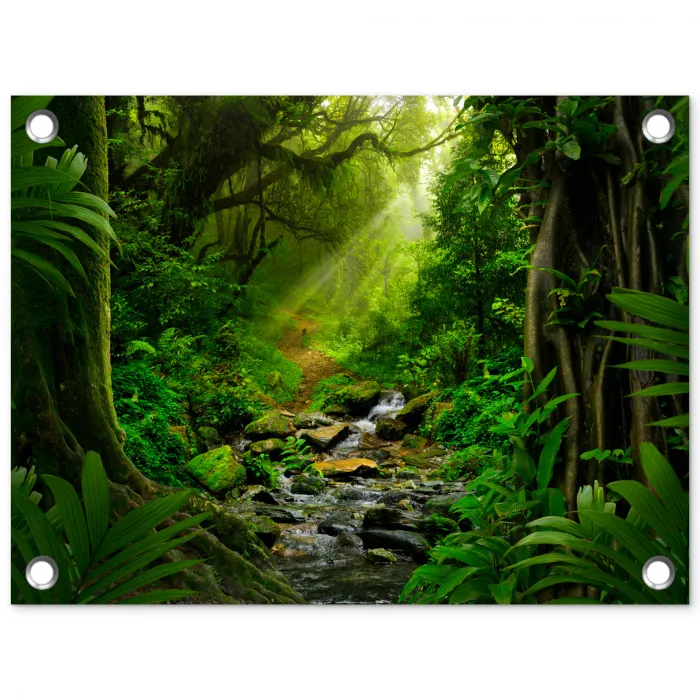 Pad door het Regenwoud tuinposter los doek klein -3d