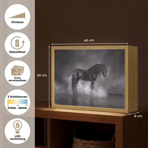 Paard - Magisch - Zwart Light Box met batterij (Wandlamp) middel -USP_websiteoverzichtNL