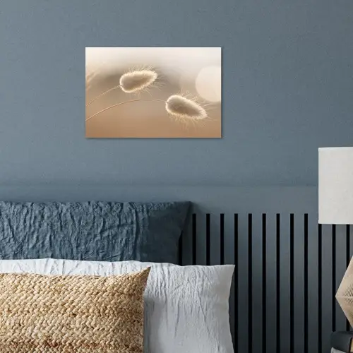 Hazestaartgras - Graanharen - Zonlicht poster papier klein -sfeer2