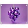 Druif - Disco - Glitter - Paars tuinposter los doek klein -3d