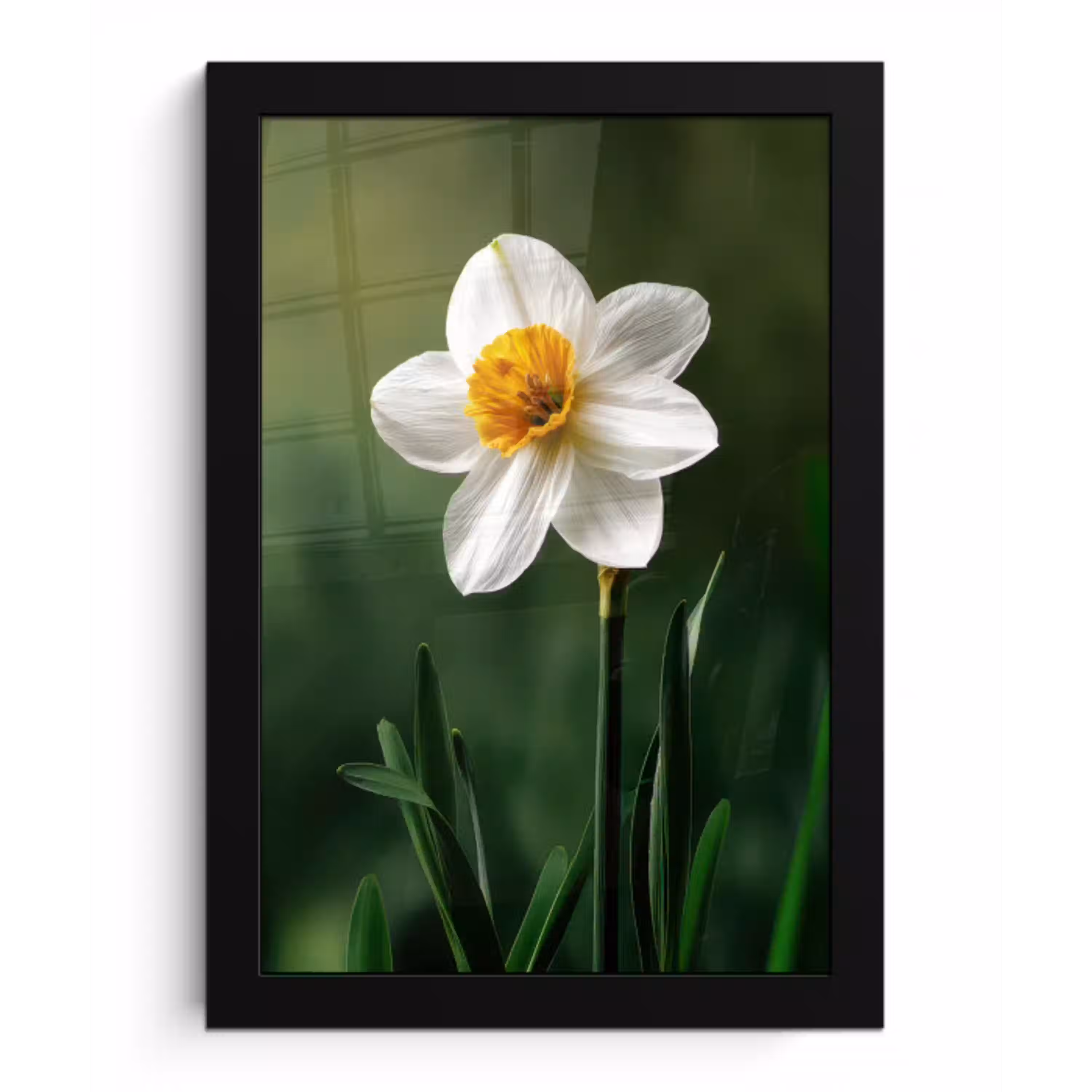 Narcis - Bloem - Wit - Grassprieten fotolijst zwart zonder passe partout klein -3d