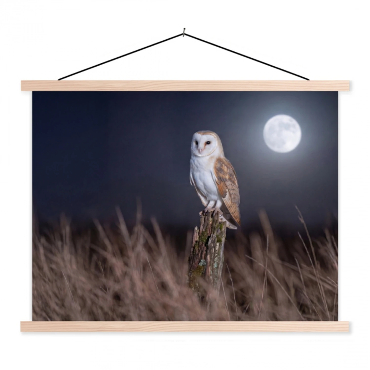 Kerkuil - Maan - Nacht textielposter latten blank klein -3d