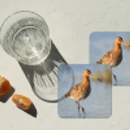 Vogel - Steltloper - Water - Natuur onderzetter kurk middel -sfeer4