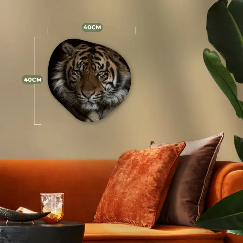 Tijger - Wilde dieren - Portret Wandcirkel Organisch Forex 3mm klein -sfeer3
