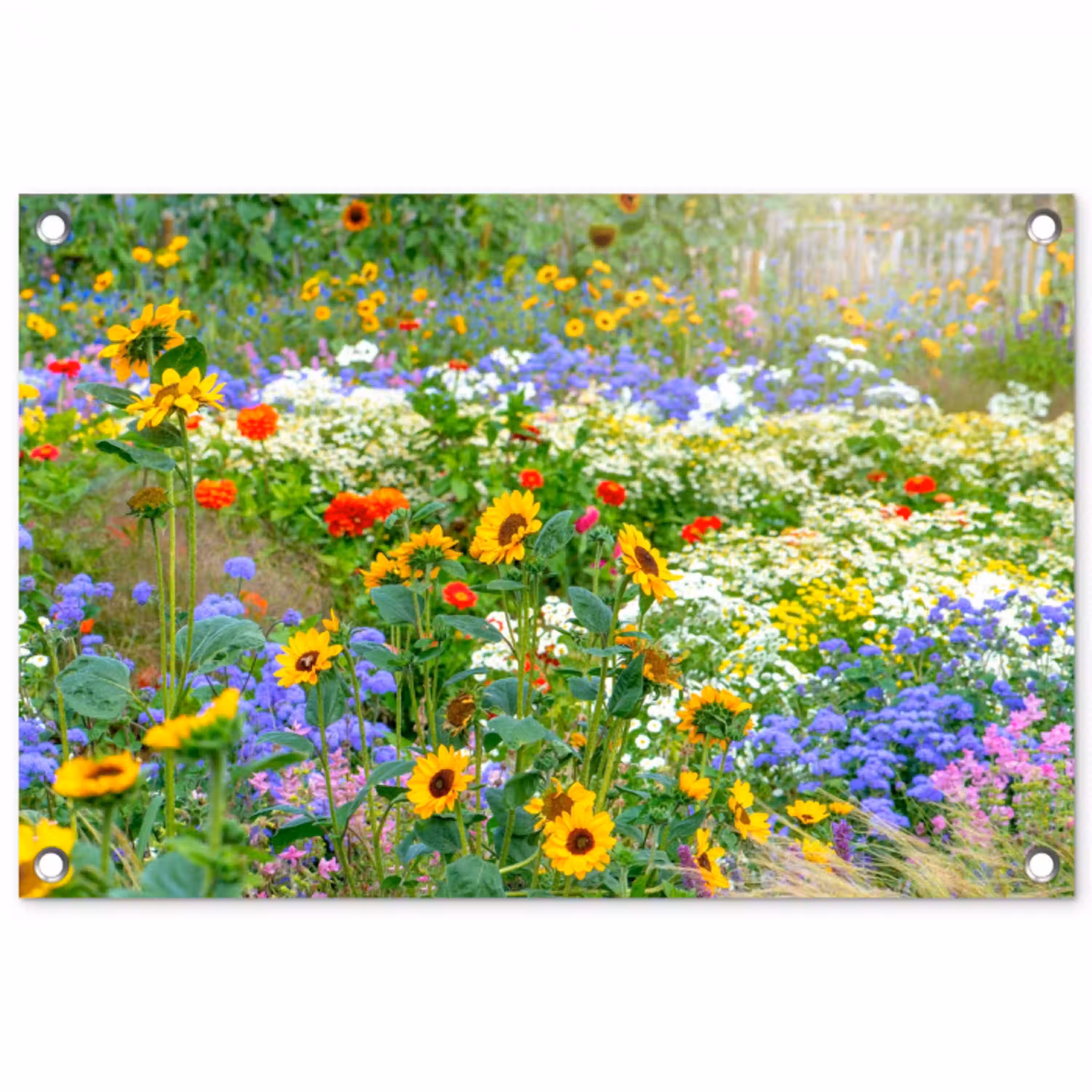 Zomerbloemen in volle bloei tuinposter los doek klein -3d