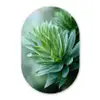 Blad - Plant - Groen - Textuur Wandcirkel Ovaal Glas middel -3d