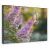 Sierlijke - Vlinder - Paarse - Bloemen Textielframe zwart klein -3d