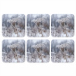 Schermbloem - Rijp - Kristallen - Winter - Delicaat onderzetter kurk middel -3d