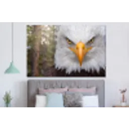 Amerikaans - Zeearend - Portret - Geel forex 5mm xxl -slaapkamer