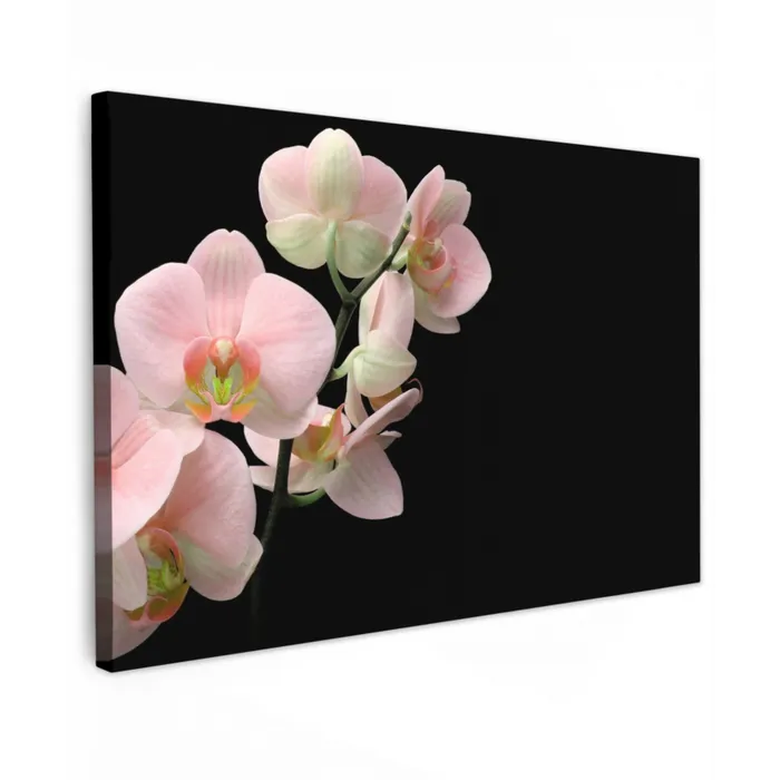 Orchidee - Bloemen - Roze - Stilleven - Flora Tuinposter op houten frame 2 cm dik klein -3d