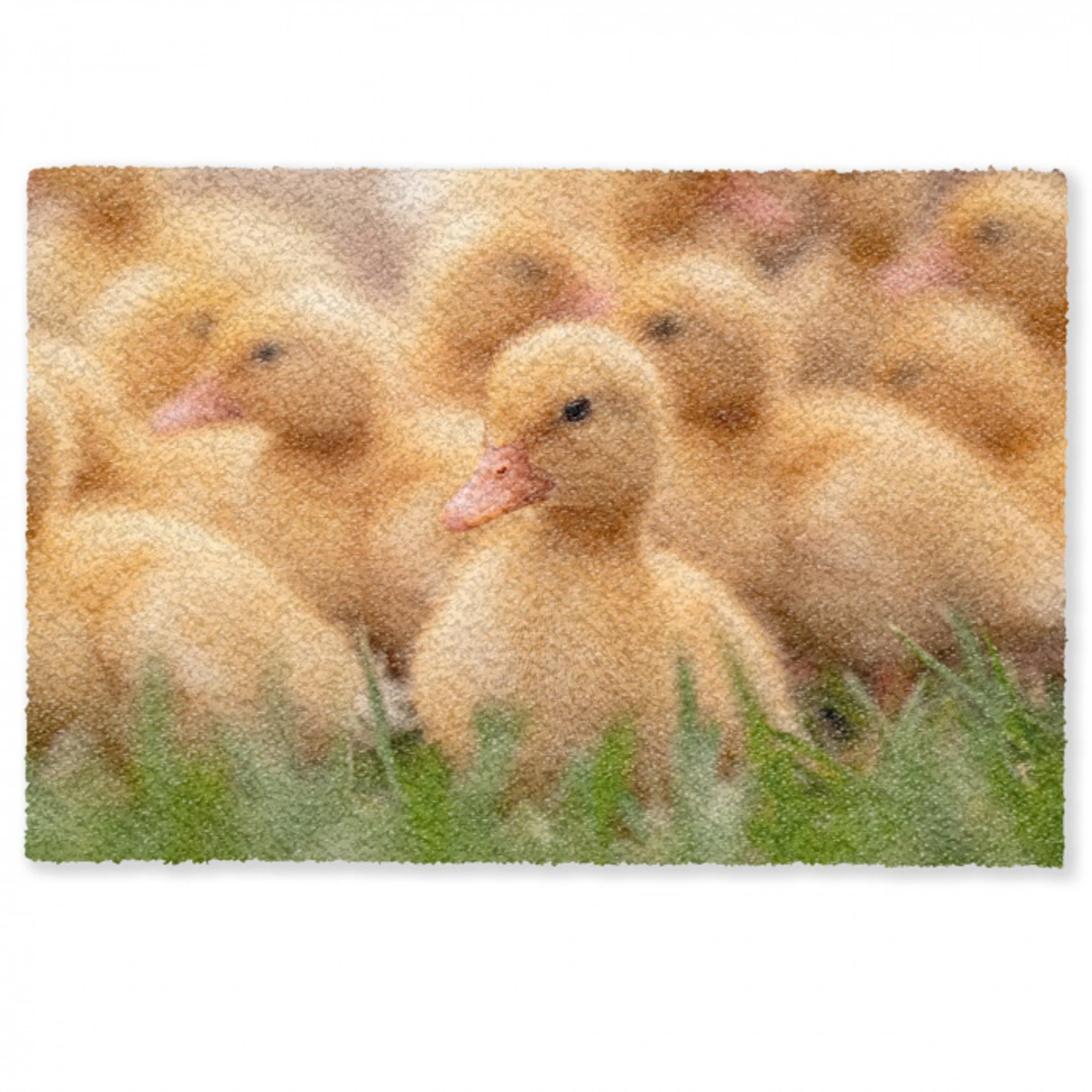 Pijltje - Eend - Natuur - Geel Deurmat klein -zkaufland3d