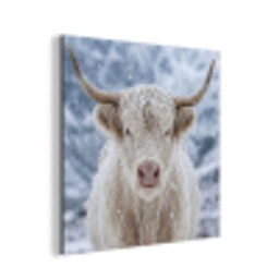 Schotse Hooglander - Sneeuw - Bergen - Winter aluminium wit klein -3d