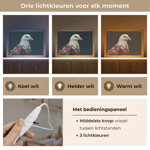 Duif - Bloemen - Wit - Zwart Light Box met kabel (Wandlamp) klein -USP_lichtkleurNL