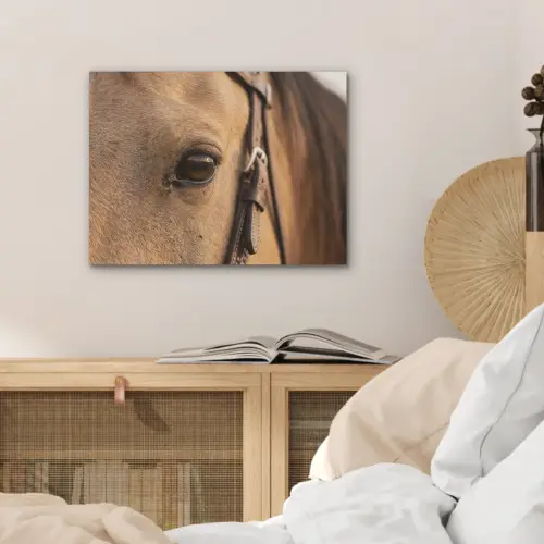 Paard - Oog - Bruin PET vilt klein -sfeer3