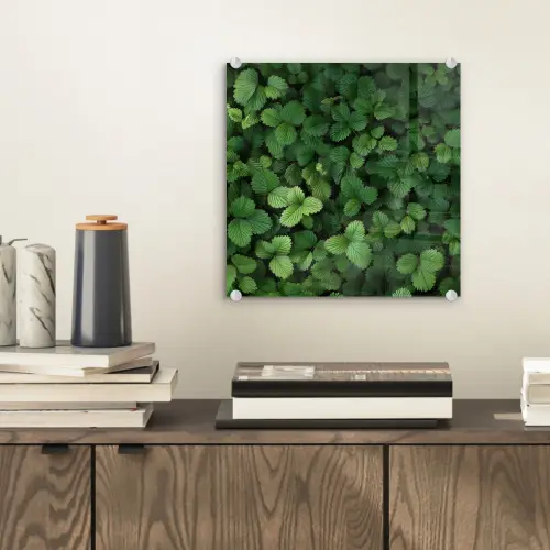 Groen - Bladeren - Kartel - Zonlicht plexiglas 5mm klein -sfeer1