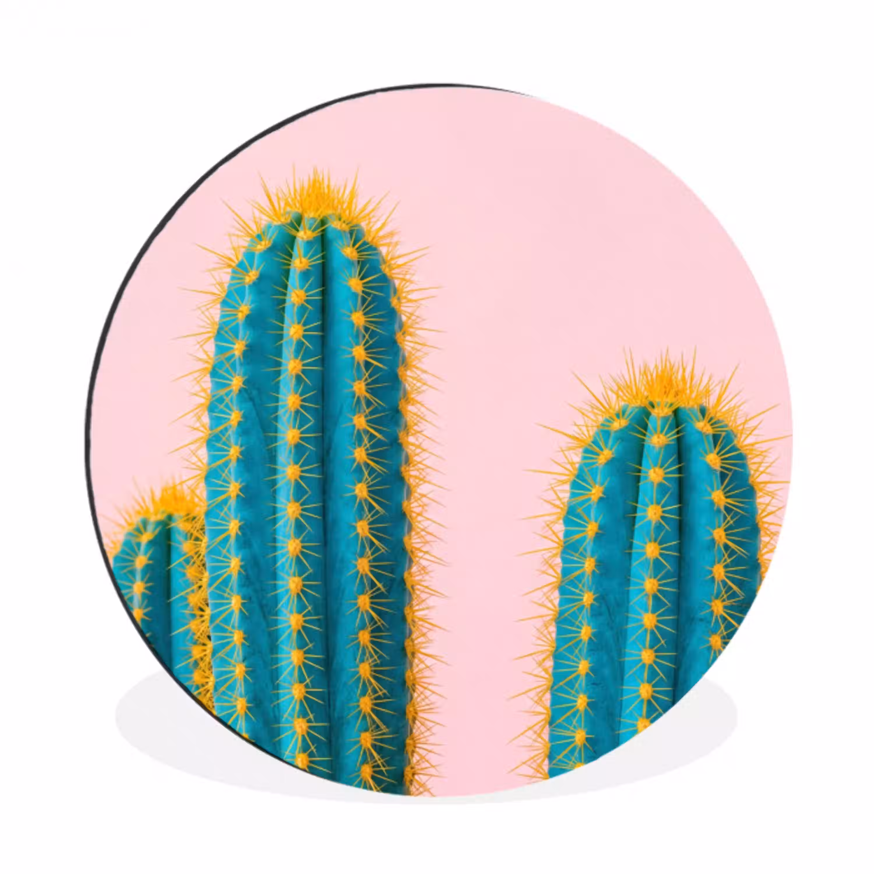 Cactussen - Modern - Pastel Wandcirkel aluminium klein -3d