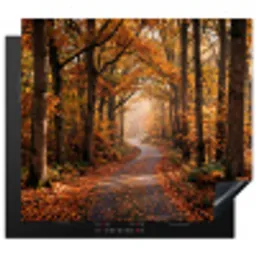 Bospad - Herfstbos - Bladeren - Oranje - Nostalgisch Inductie beschermer vinyl 3mm middel -3d