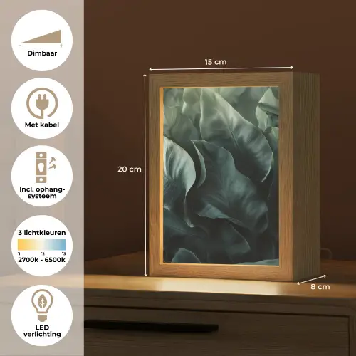 Groen - Bladeren - Glad - Nerven Light Box met kabel (Tafellamp) klein -USP_NL