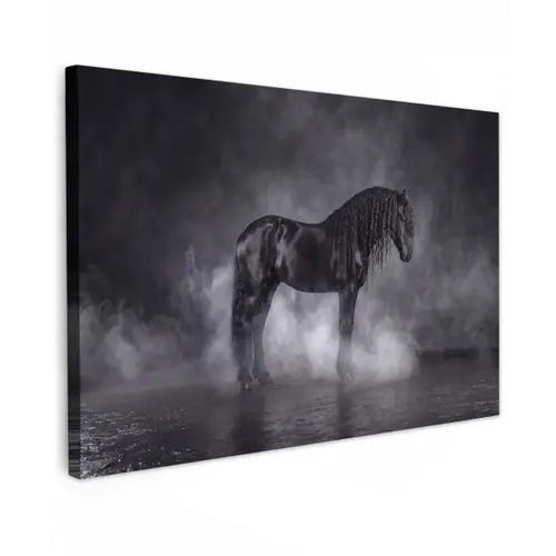 Paard - Magisch - Zwart canvas 2cm klein -z3d