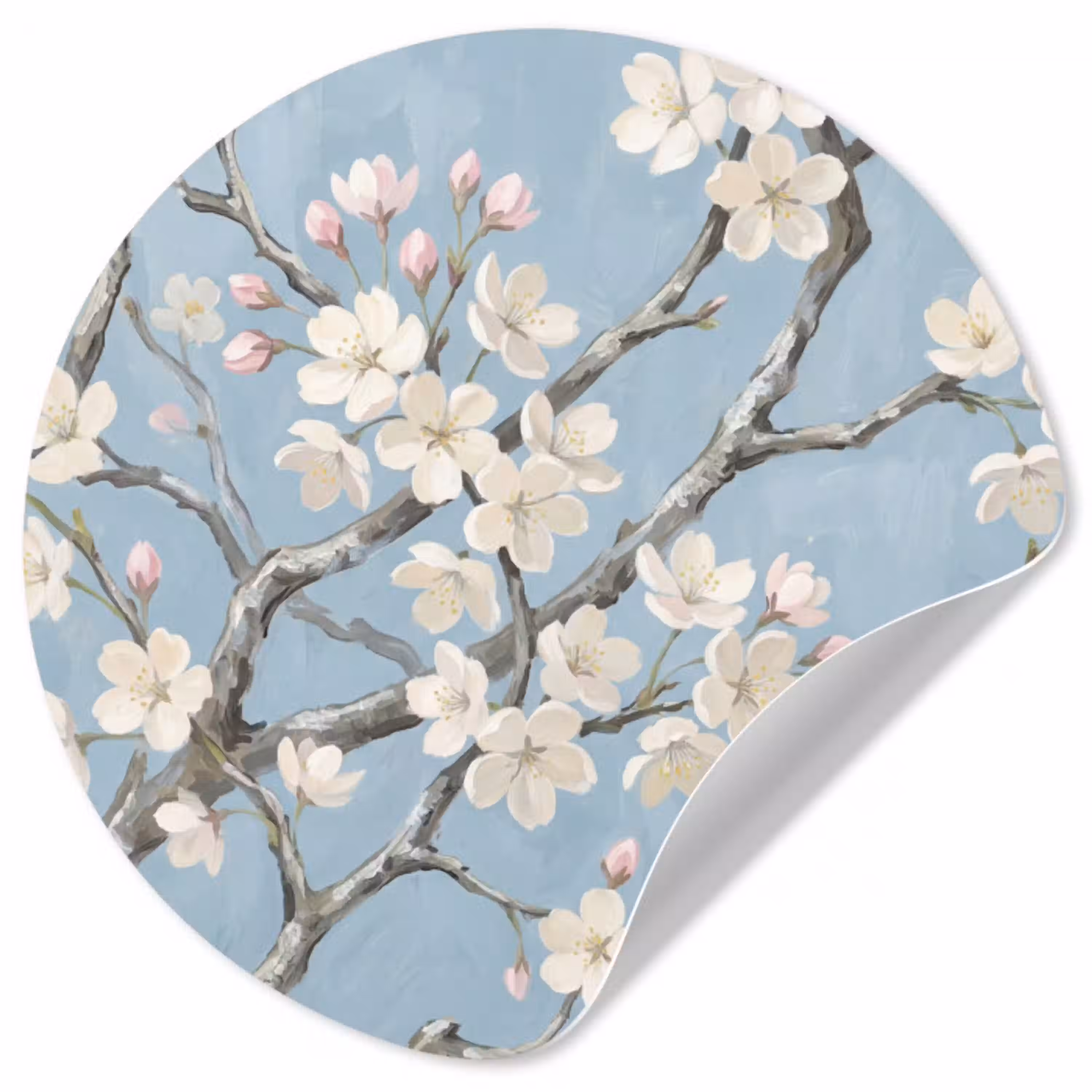 Takken - Kersenbloesem - Blauw Wandcirkel behangsticker klein -3d