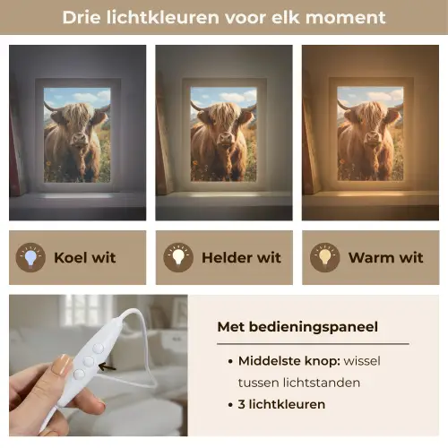 Schotse hooglander - Dieren portret - Natuur - Dier Light Box met kabel (Tafellamp) klein -USP_lichtkleurNL