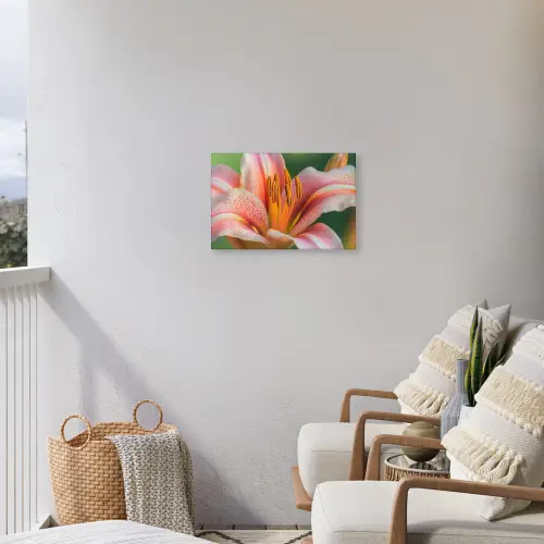 Lelie - Close up - Lichtroze Tuinposter op houten frame 2 cm dik klein -sfeer1
