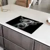 Nachtvisioen Inductie beschermer vinyl 3mm klein -sfeer8