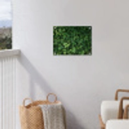 Groen - Bladeren - Kartel - Zonlicht tuinposter los doek klein -sfeer8