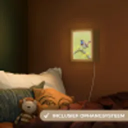 Vogel - Tak - Natuur - Kleurrijk Light Box met kabel (Kinderlampje) klein -sfeer5_kind