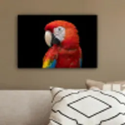 Ara - Portret - Rood canvas 2cm klein -sfeer3