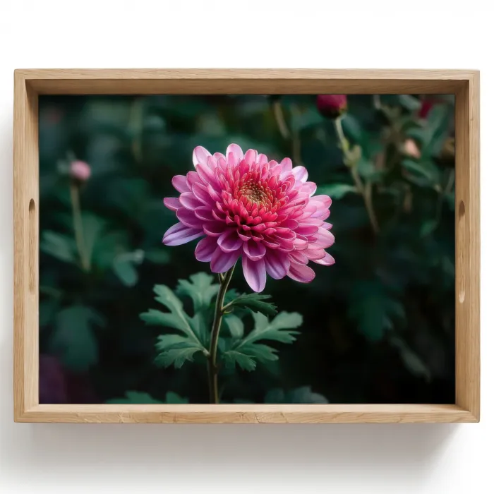 Blad - Chrysant - Roze - Schaduw Dienblad Rechthoek middel -z3d_shopping