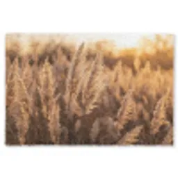 Rietpluimen - Gras - Zonsondergang - Goud - Serene Vloerkleed Rechthoek klein -3d