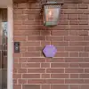 Paars - Sierlijk Naambord Hexagon klein -sfeer7-hexagon-XS