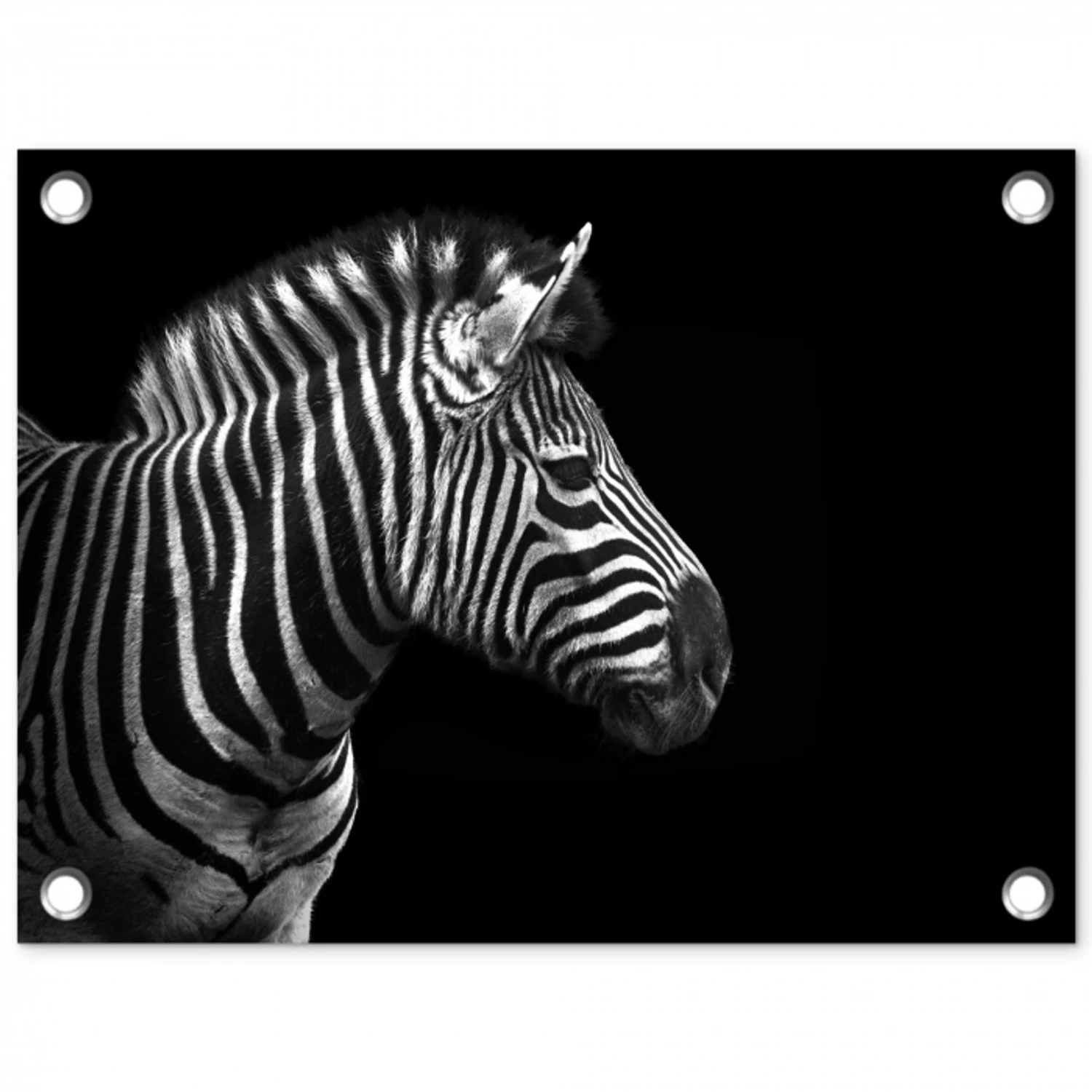 Zebra - Zwart - Wit - Portret - Dieren tuinposter los doek klein -3d