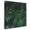 Monstera -  Inductie beschermer - Bladeren - Tropical - Afdekplaat voor kookplaat Tuinposter op houten frame 2 cm dik klein -3d