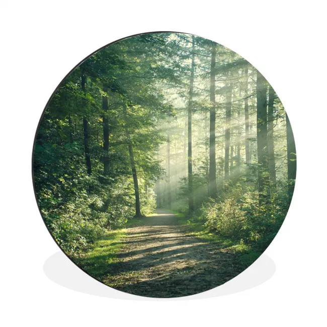 Muurcirkel aluminium Bos - Pad - Zon - Bomen - Groen - Natuur