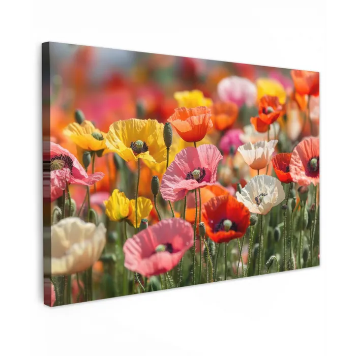 Bloemenveld - Klaprozen - Kleurrijk canvas 2cm klein -z3d