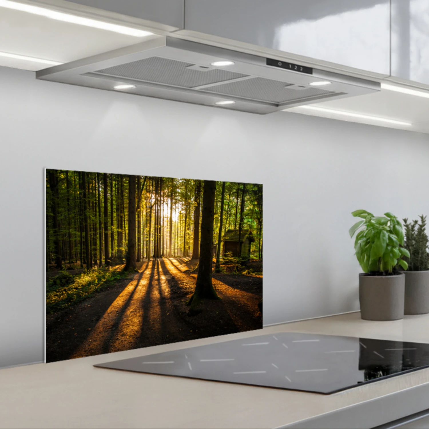 Zon - Bomen - Bos - Landschap - Natuur keuken achterwand spatscherm klein -3d_schuin