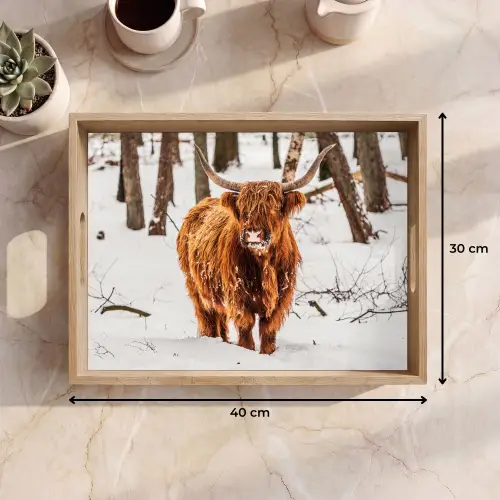 Schotse Hooglander - Sneeuw - Winter - Natuur - Dieren Dienblad Rechthoek middel -USP_Formaat