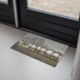 Schapen - Rij - Weide - Dieren - Platteland Deurmat klein -sfeer2